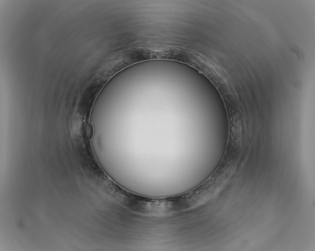 X0000112740225200909031512