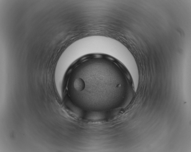 X0000112740231200909031512