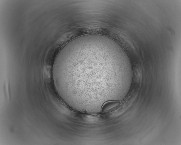 X0000112740232200909031512