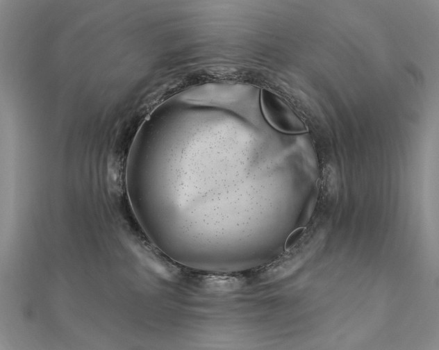 X0000112740234200909031512