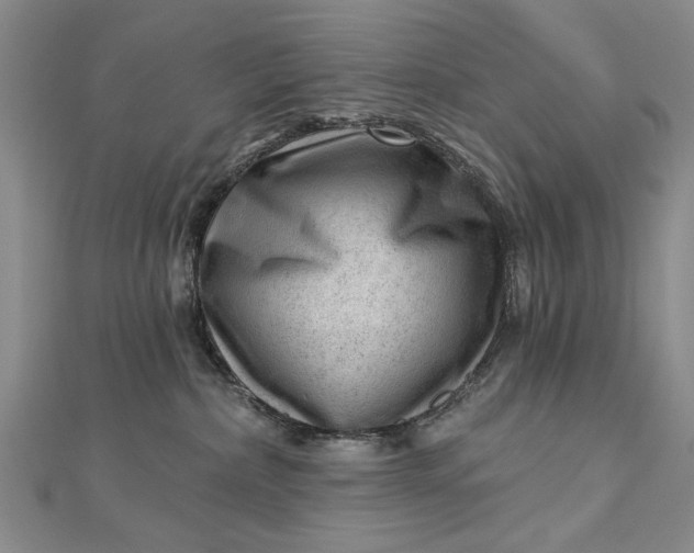 X0000112740236200909031512