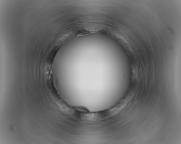 X0000112740237200909031512