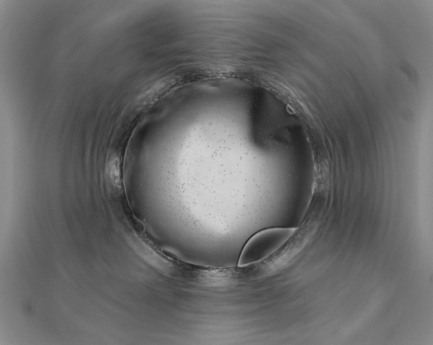 X0000112740238200909031512