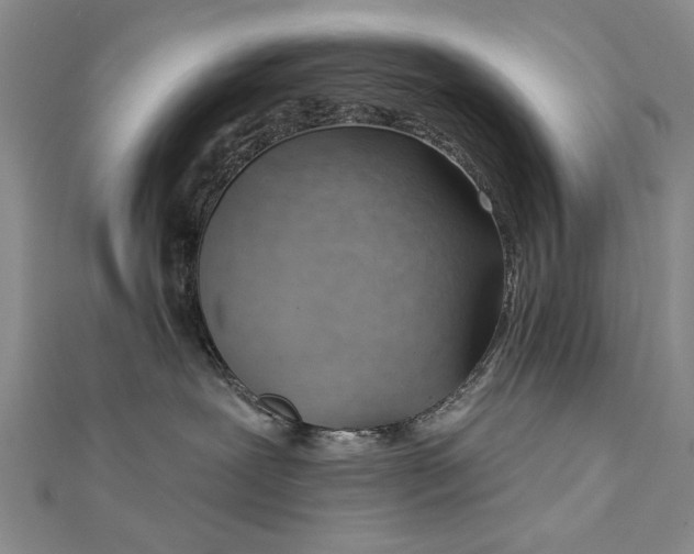 X0000112740239200909031512