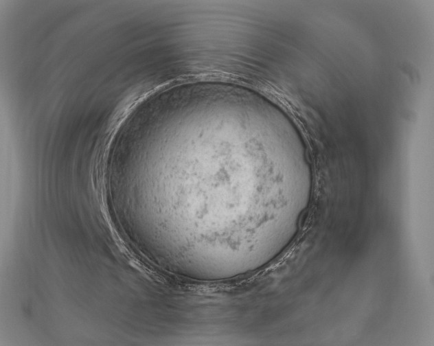 X0000112740241200909031512