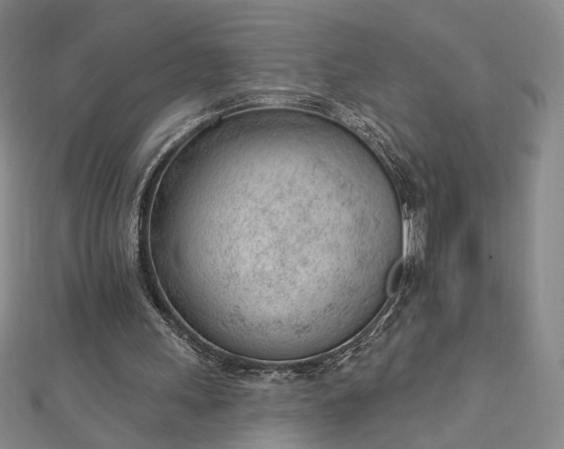 X0000112740243200909031512