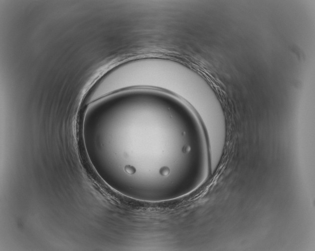 X0000112740244200909031512