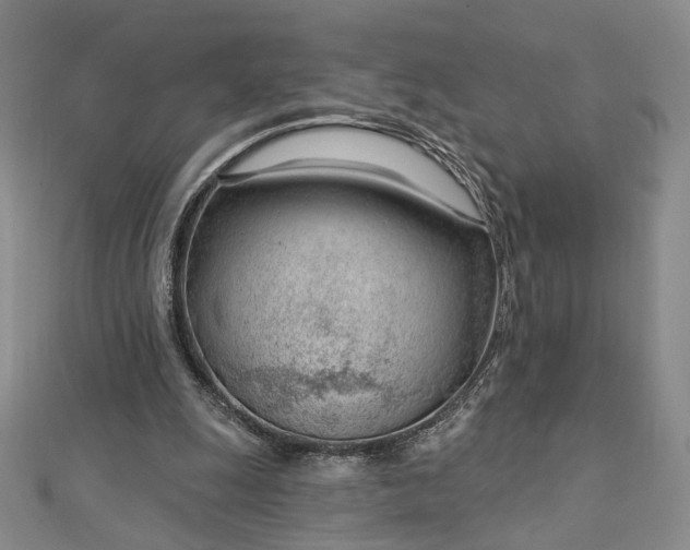 X0000112740247200909031512