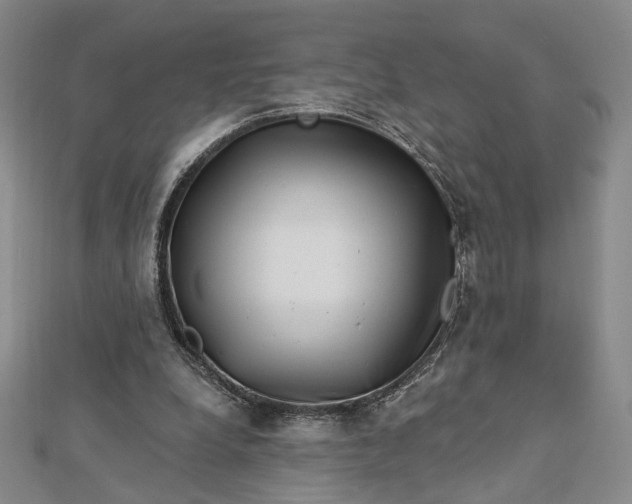 X0000112740248200909031512