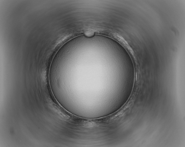 X0000112740249200909031512