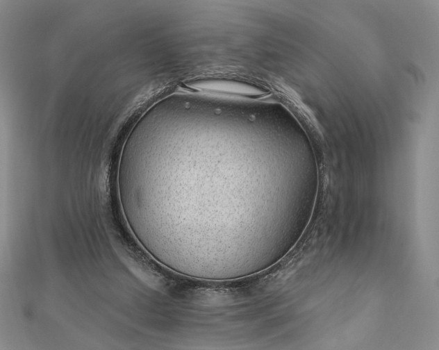 X0000112740250200909031512