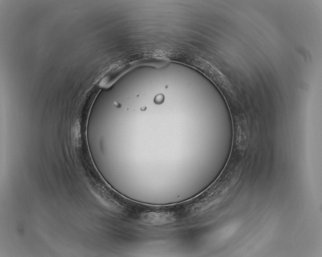 X0000112740251200909031512