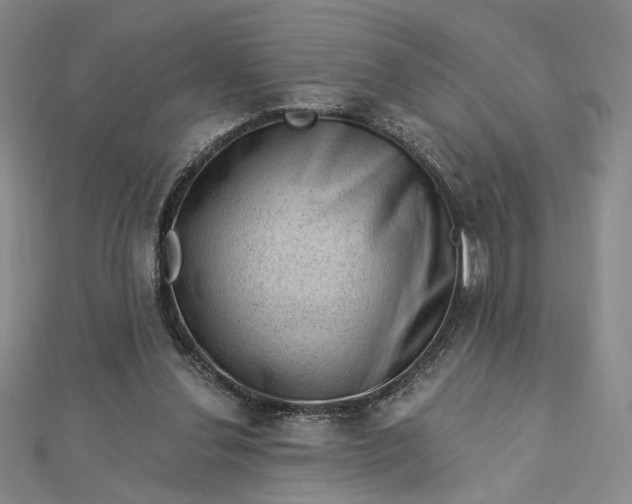 X0000112740252200909031512