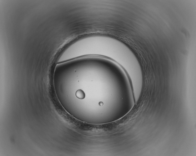 X0000112740256200909031512