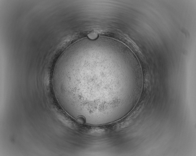 X0000112740257200909031512