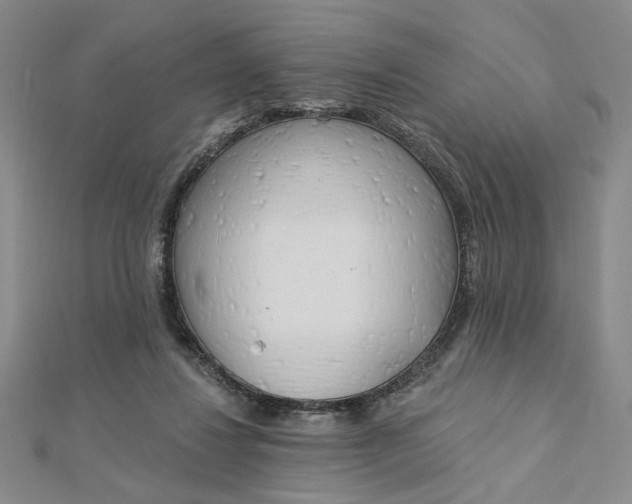 X0000112740260200909031512