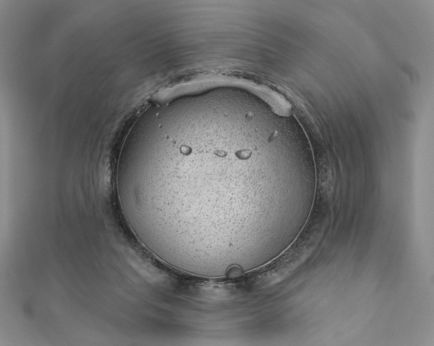 X0000112740261200909031512