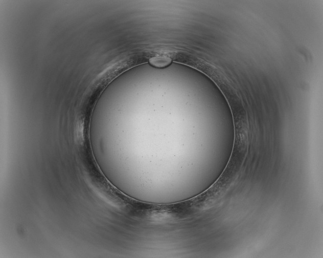 X0000112740262200909031512