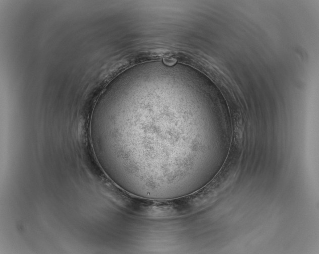 X0000112740270200909031512