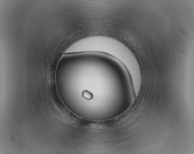 X0000112740272200909031512