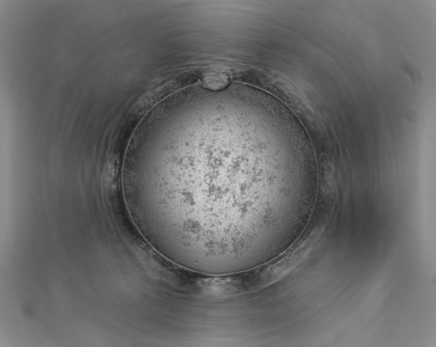 X0000112740273200909031512