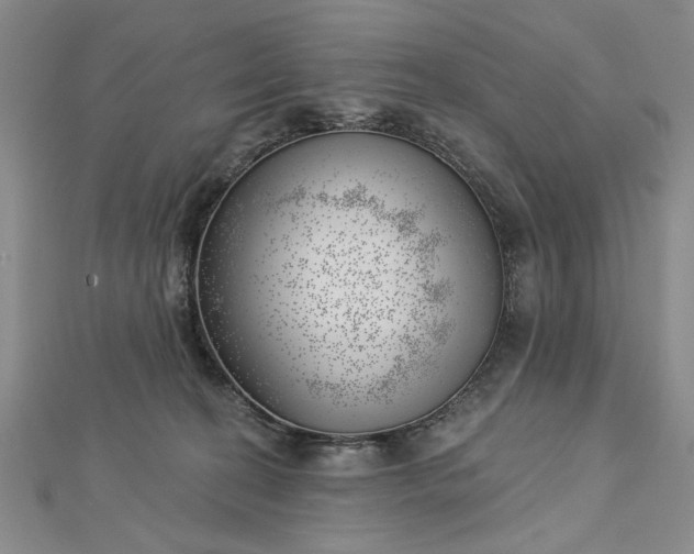 X0000112740274200909031512