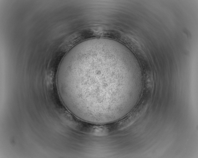 X0000112740275200909031512