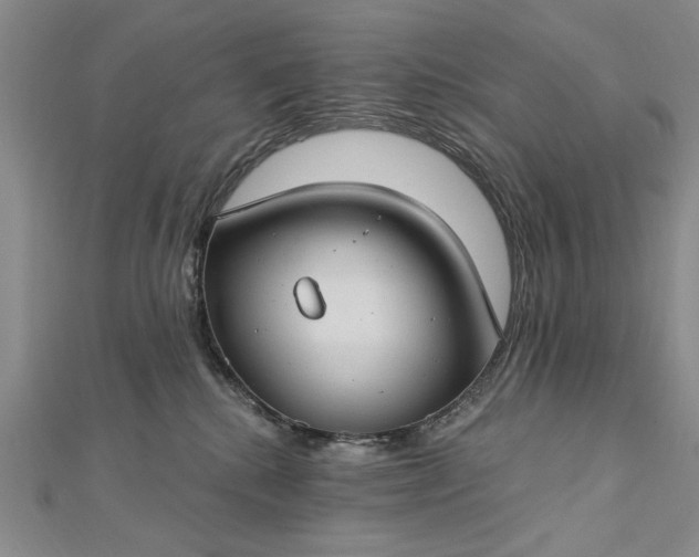 X0000112740280200909031512