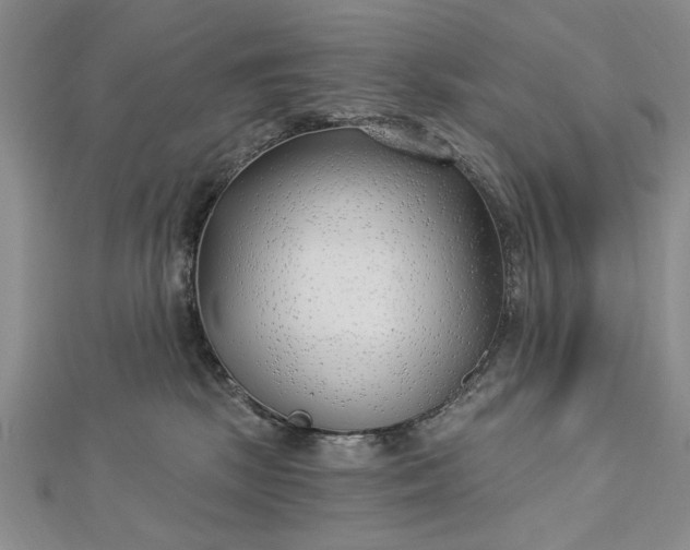 X0000112740281200909031512