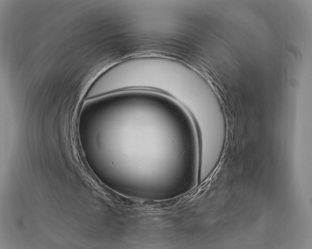 X0000112740289200909031512