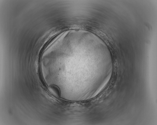 X0000112740290200909031512