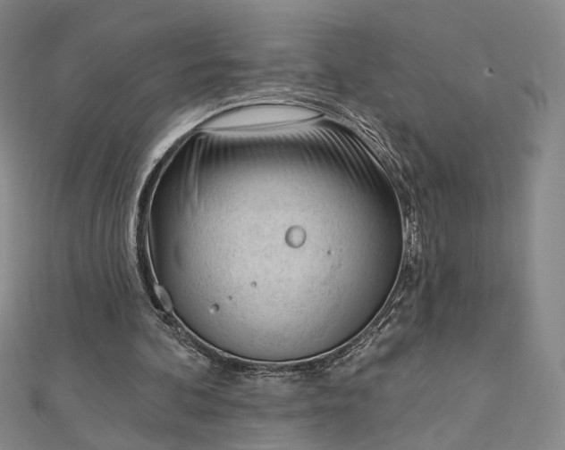 X0000112740292200909031512