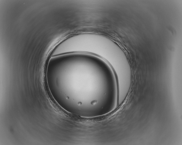 X0000112740293200909031512