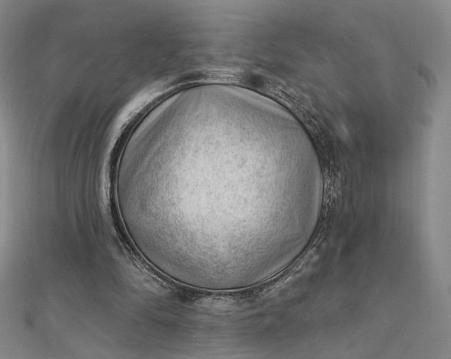 X0000112740294200909031512