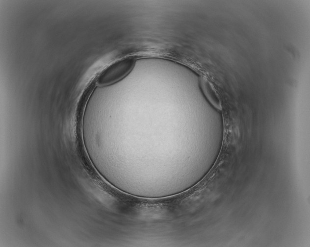 X0000112740296200909031512