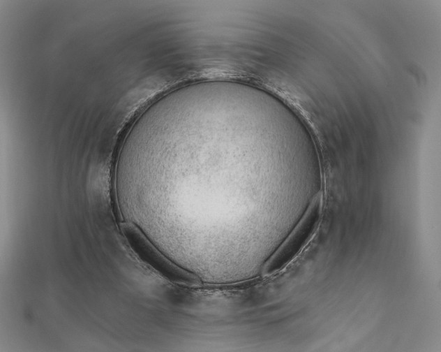 X0000112740297200909031512