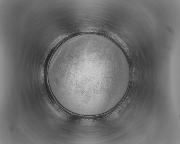 X0000112740298200909031512