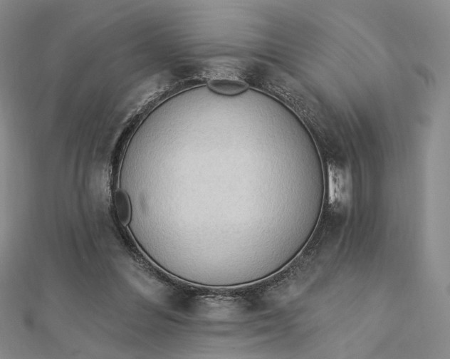 X0000112740300200909031511