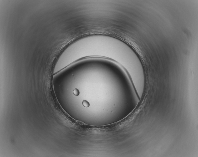 X0000112740305200909031511