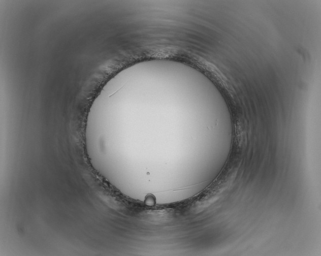 X0000112740307200909031511