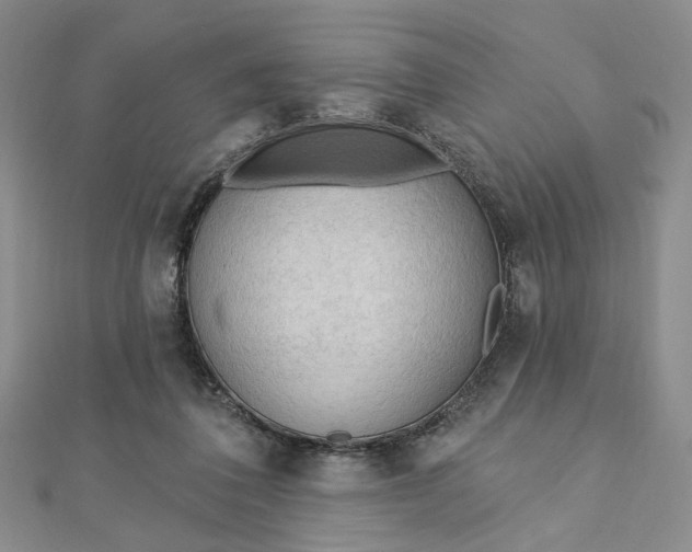 X0000112740308200909031511