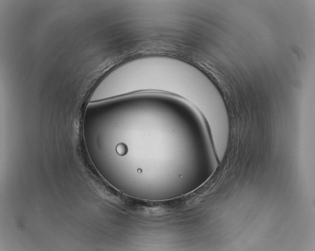 X0000112740309200909031511