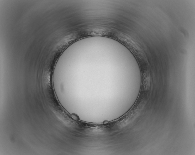 X0000112740310200909031511