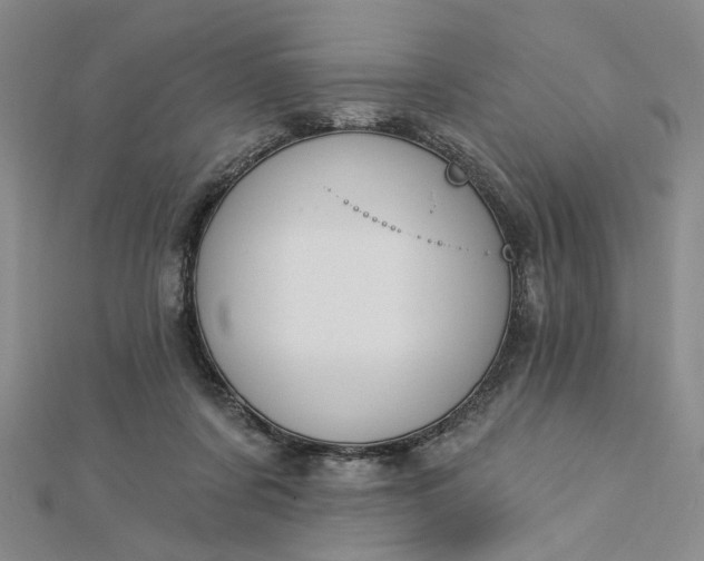 X0000112740311200909031511