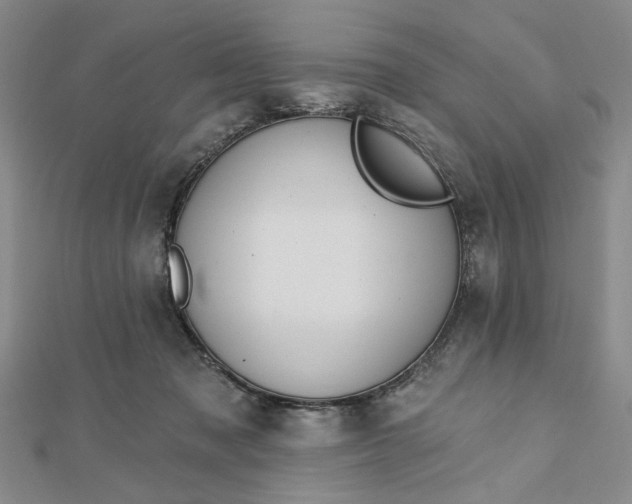 X0000112740317200909031511