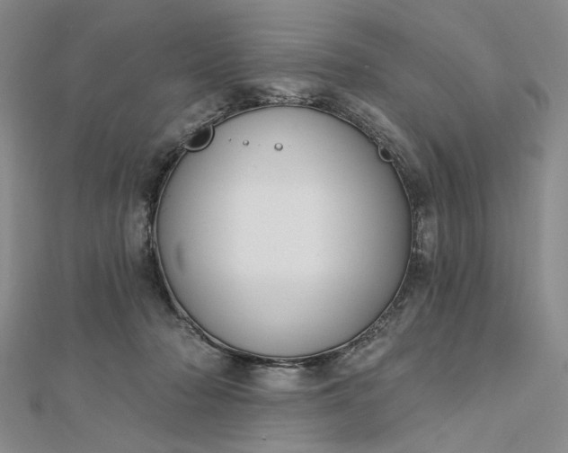 X0000112740318200909031511