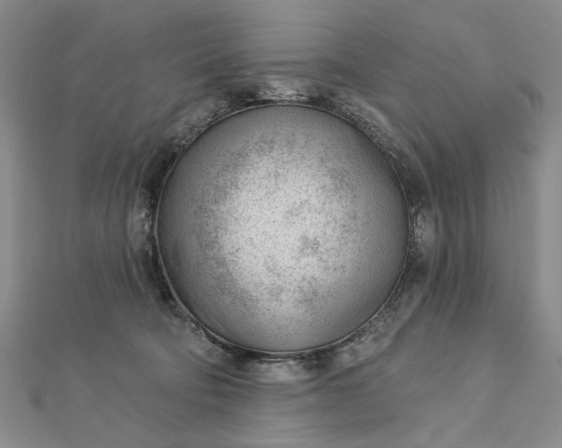 X0000112740322200909031511