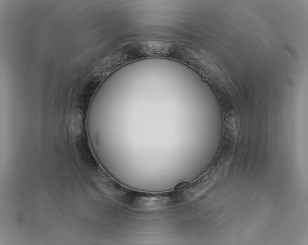 X0000112740323200909031511