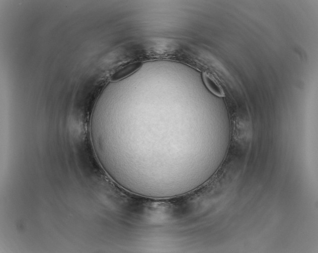 X0000112740324200909031511