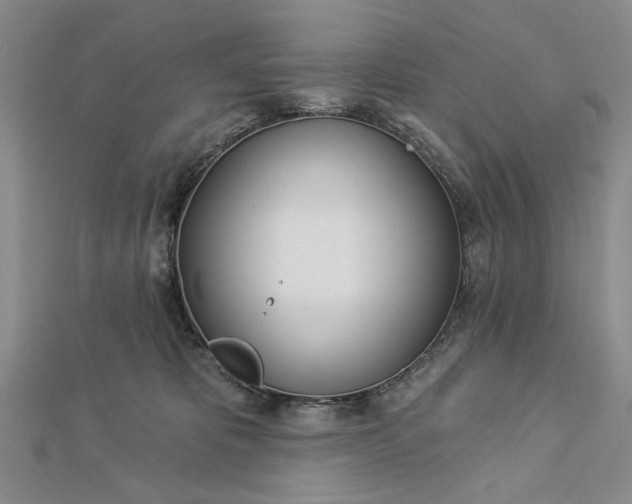 X0000112740325200909031511